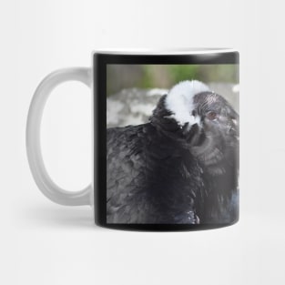 Condor Mug